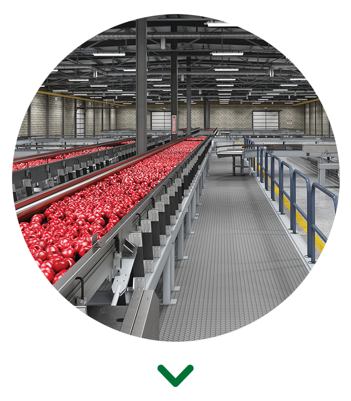 High Bays built for food - Circle